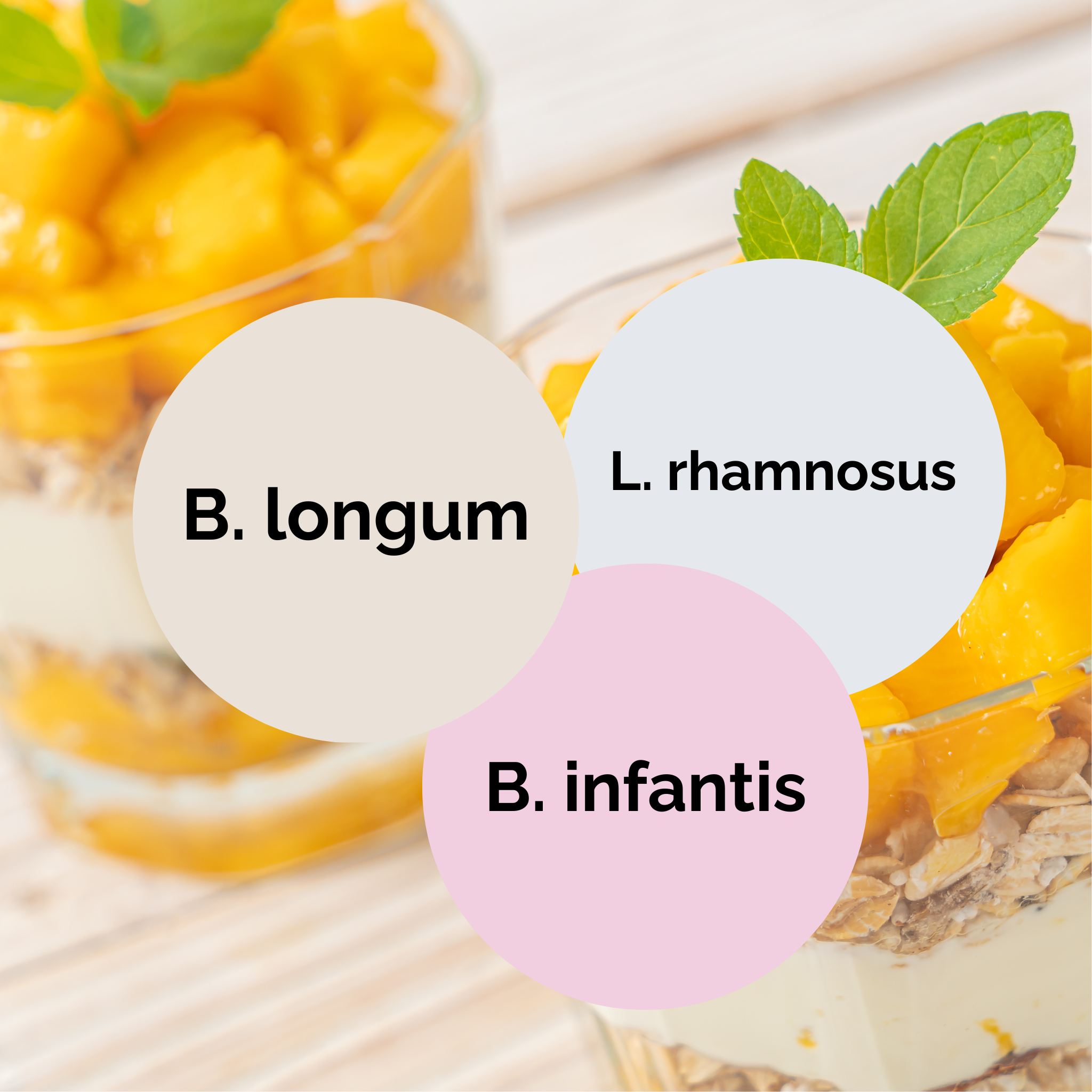 L. rhamnosus + B. infantis + B. longum | Набор для запуска йогурта | Стартовые культуры | Упаковка из 3 штук